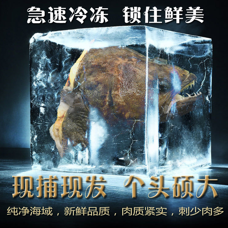 鲽鱼头新鲜急冻无添加无防腐规格全厂家直销