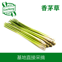 【高农果蔬】香茅草新鲜香茅香料菜泰国冬阴功汤料