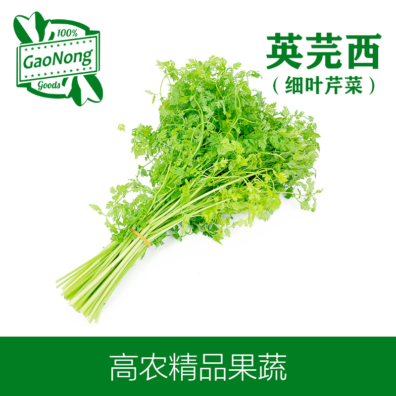 【高农果蔬】新鲜英芫茜细叶芹雪维菜中西餐香料三叶香