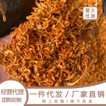 虫草花碎料蛹虫草下脚料原料虫草花佐料虫草花辅料投料