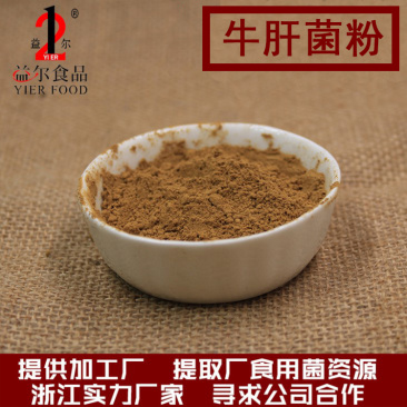 厂家直销牛肝菌提取物牛肝菌粉下脚料原料佐料辅料食