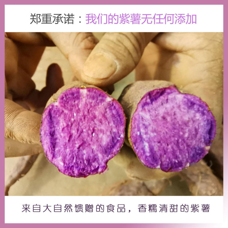 大量长期供应云南紫薯电商微商平台一件代发