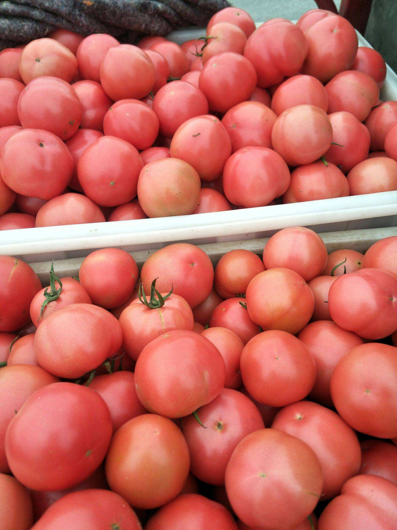 【精选】硬粉西红柿，供商超，社区团购，雄峰授粉，3两起