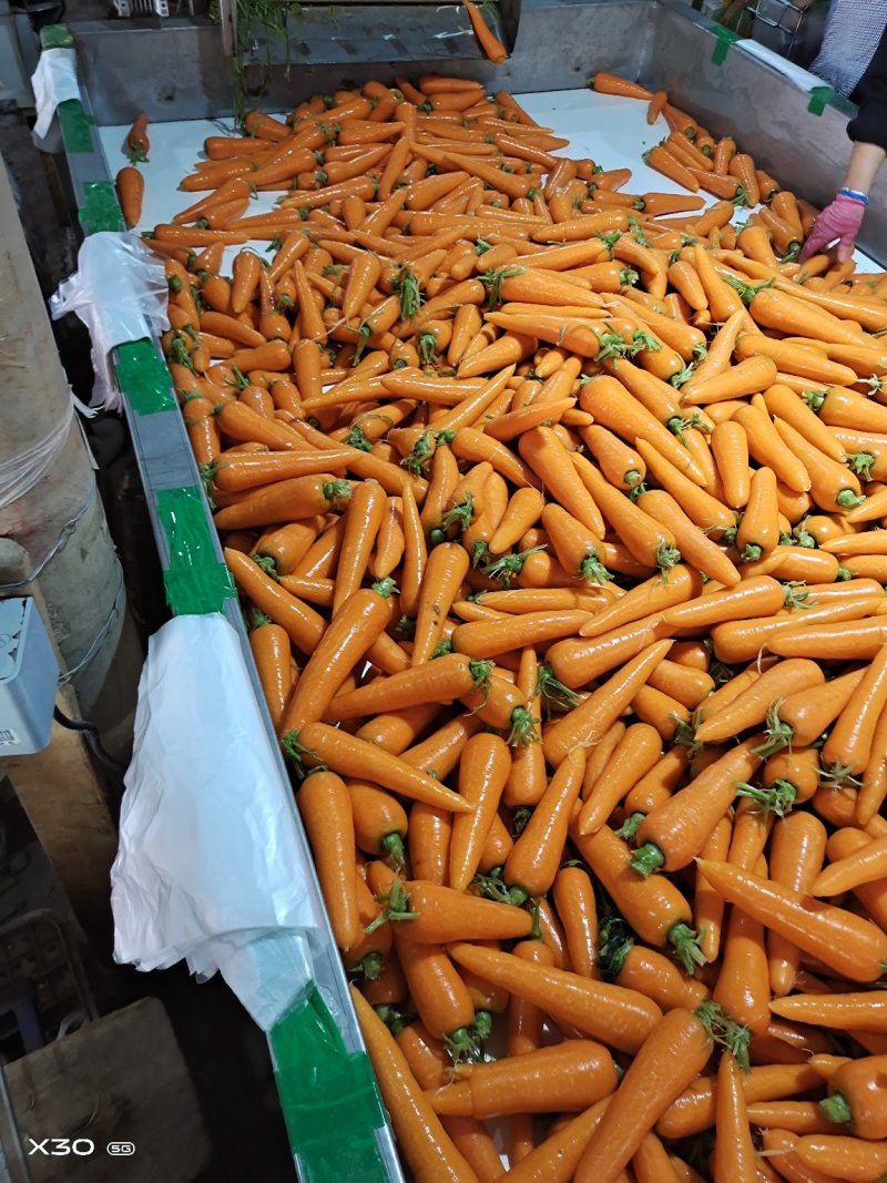 电商市场超市精品红萝卜，土货，水洗中条，精品箱子，小条…
