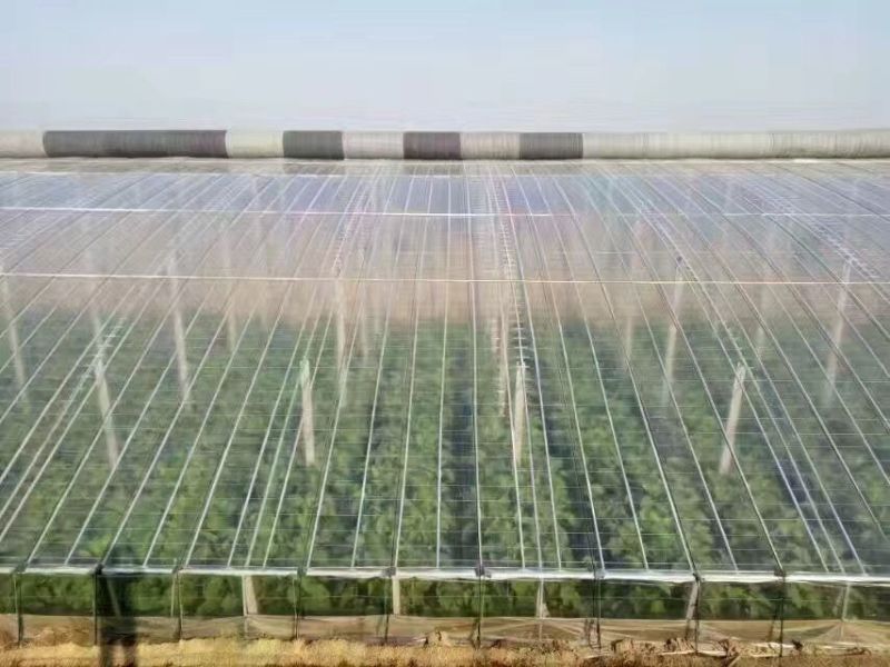 实力农膜灌浆膜长寿无滴大棚膜进口茂金属耐老化3-5年
