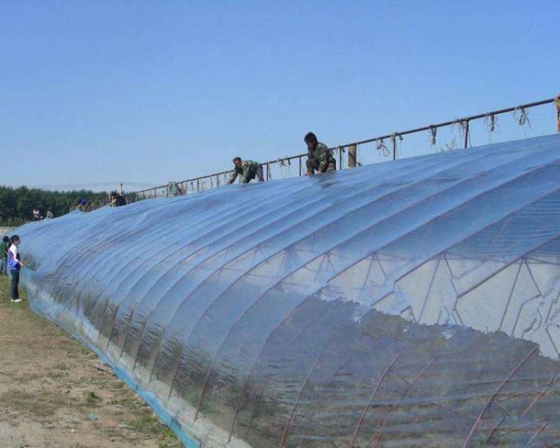 实力农膜灌浆膜长寿无滴大棚膜进口茂金属耐老化3-5年