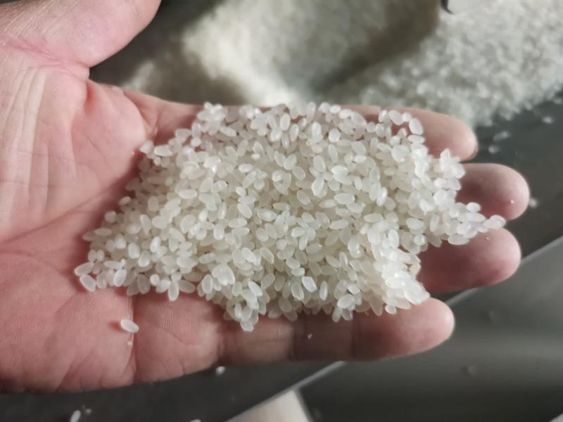 精品2020年当季新米，现加工新鲜大米工厂直销
