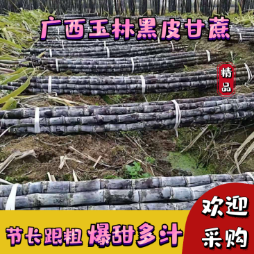 【脆甜黑皮甘蔗】广西黑皮甘蔗产地直供脆甜多汁诚信经营