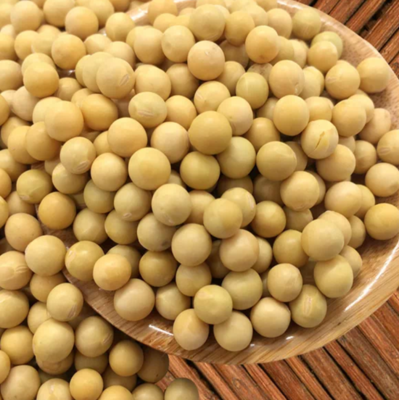 黑龙江塔选高蛋白大豆农家自种大豆生豆芽打豆浆