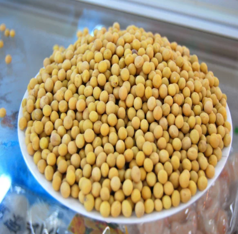 黑龙江塔选高蛋白大豆农家自种大豆生豆芽打豆浆