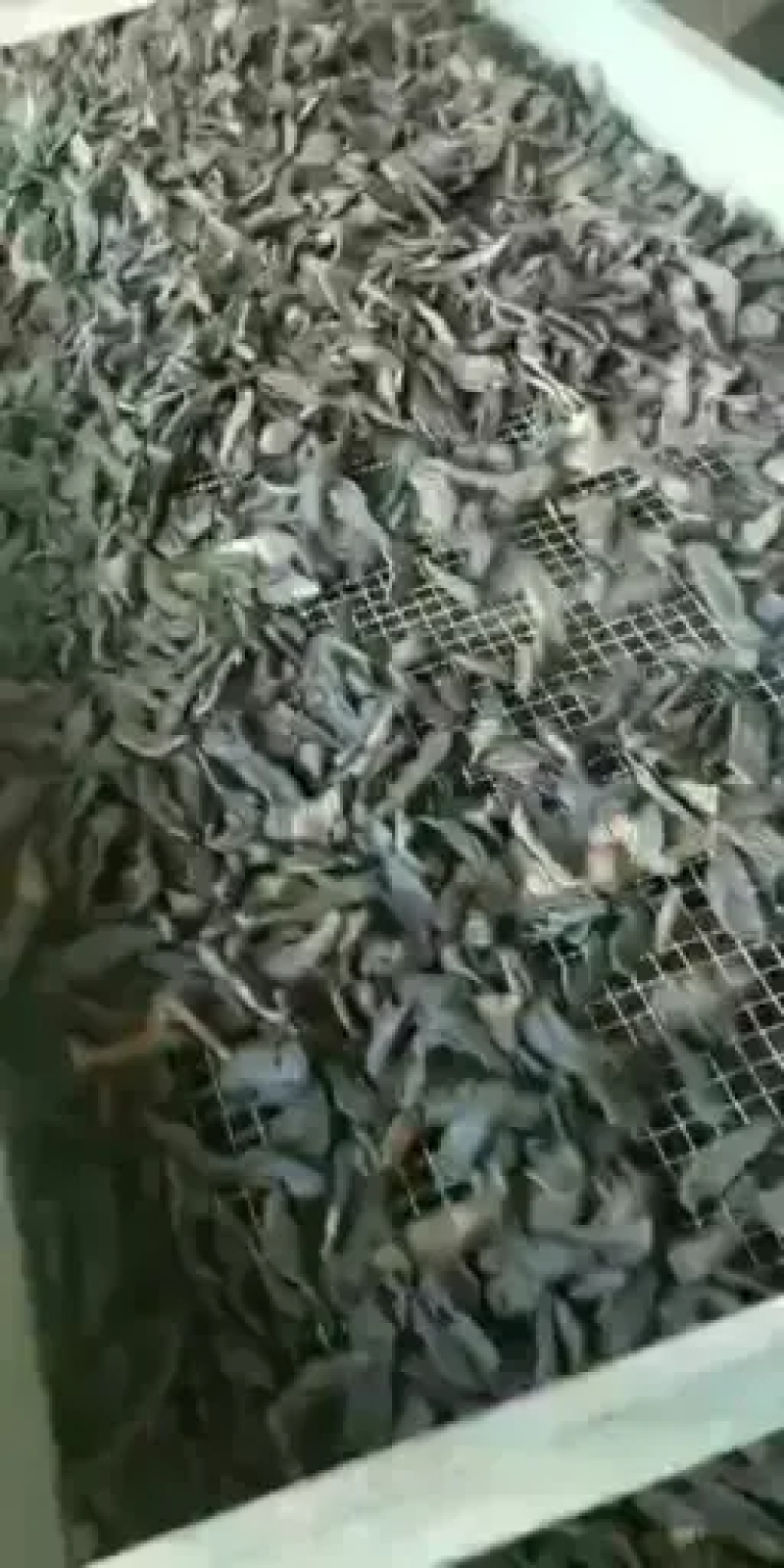 生地原产地高含量【男人加油站】支持一件代发