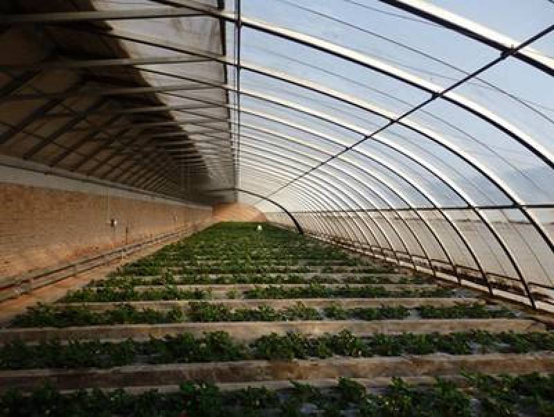 大棚膜塑料薄膜经久耐用大棚PO膜长效流滴