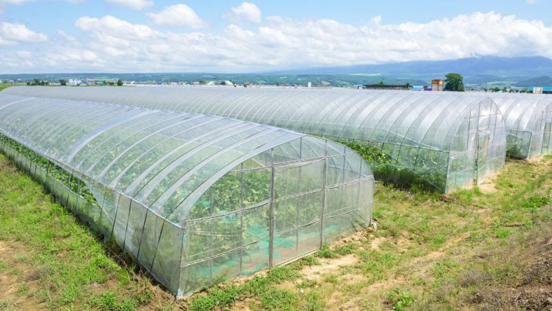 大棚膜塑料薄膜经久耐用大棚PO膜长效流滴