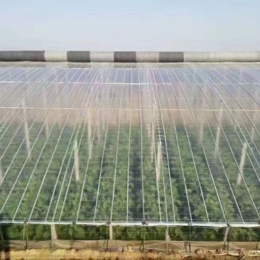 大棚膜塑料薄膜经久耐用大棚PO膜长效流滴