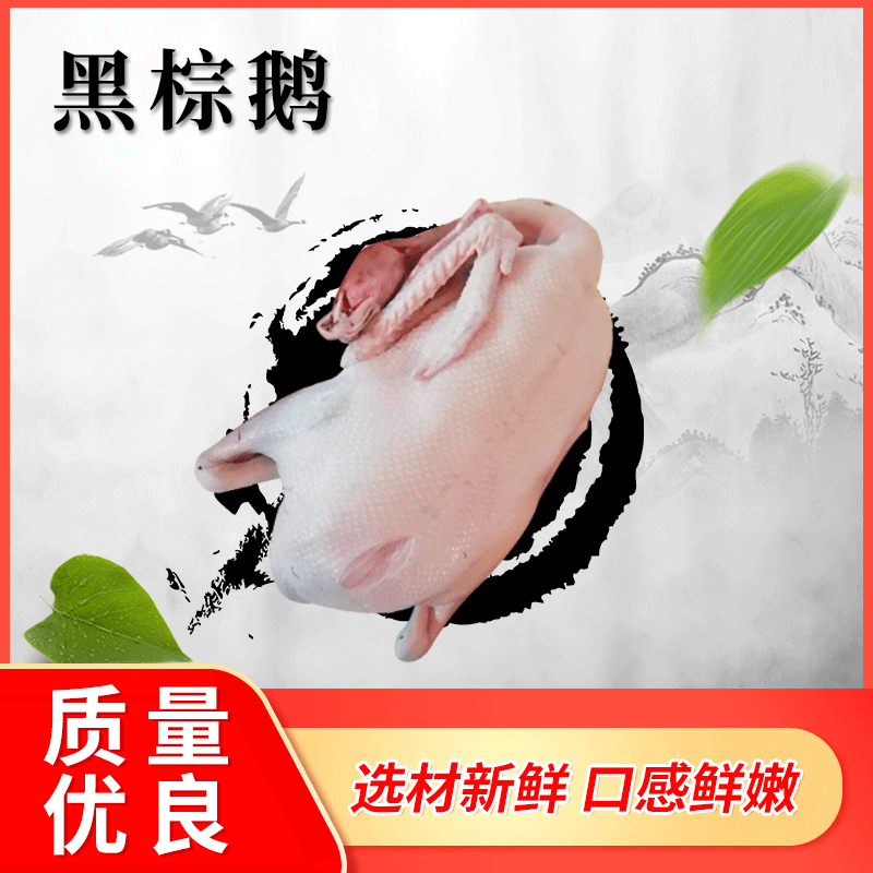 工厂直销黑棕鹅棚鹅烧鹅原材料冰鲜鹅冻鹅肉新鲜光鹅