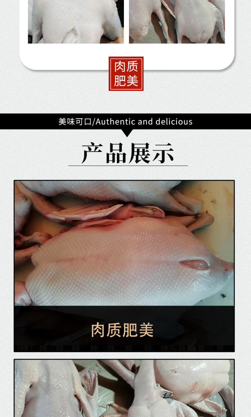 工厂直销黑棕鹅棚鹅烧鹅原材料冰鲜鹅冻鹅肉新鲜光鹅