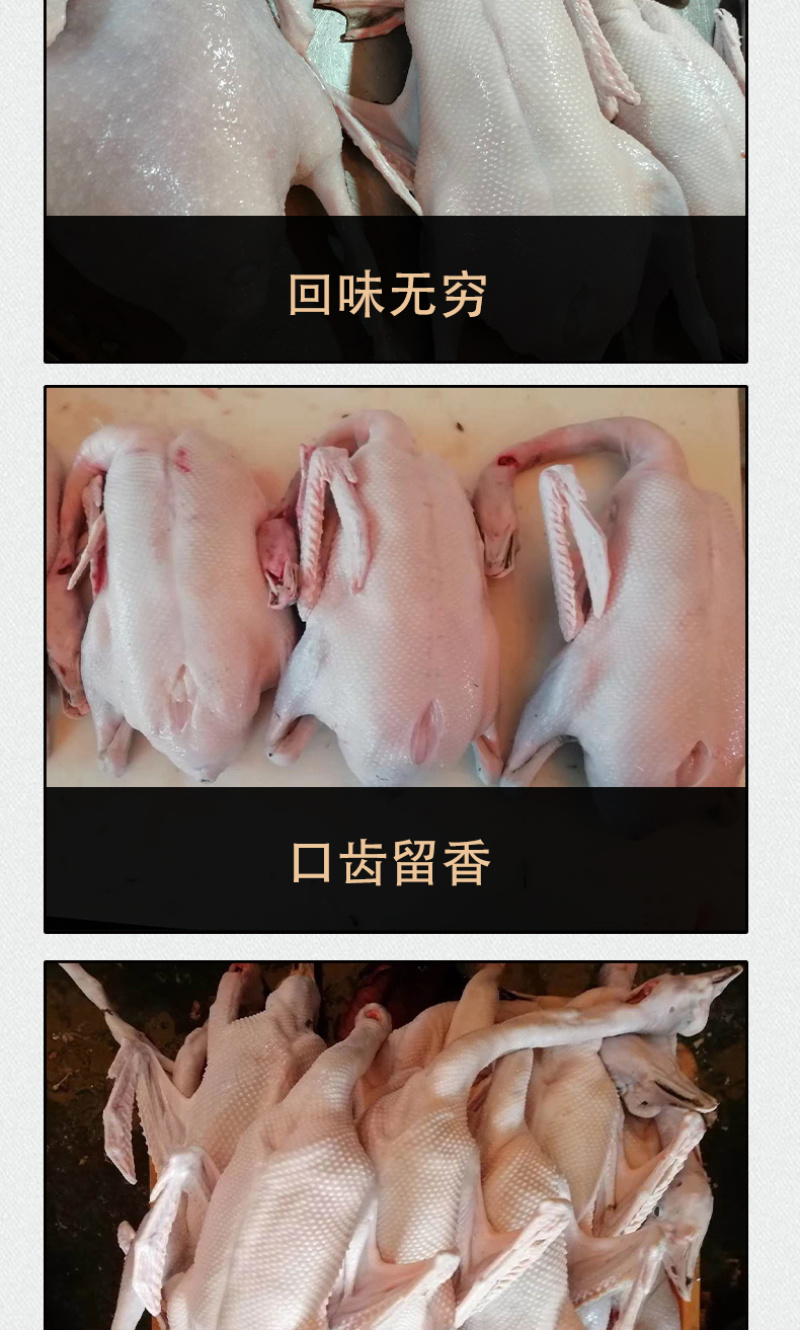 工厂直销黑棕鹅棚鹅烧鹅原材料冰鲜鹅冻鹅肉新鲜光鹅