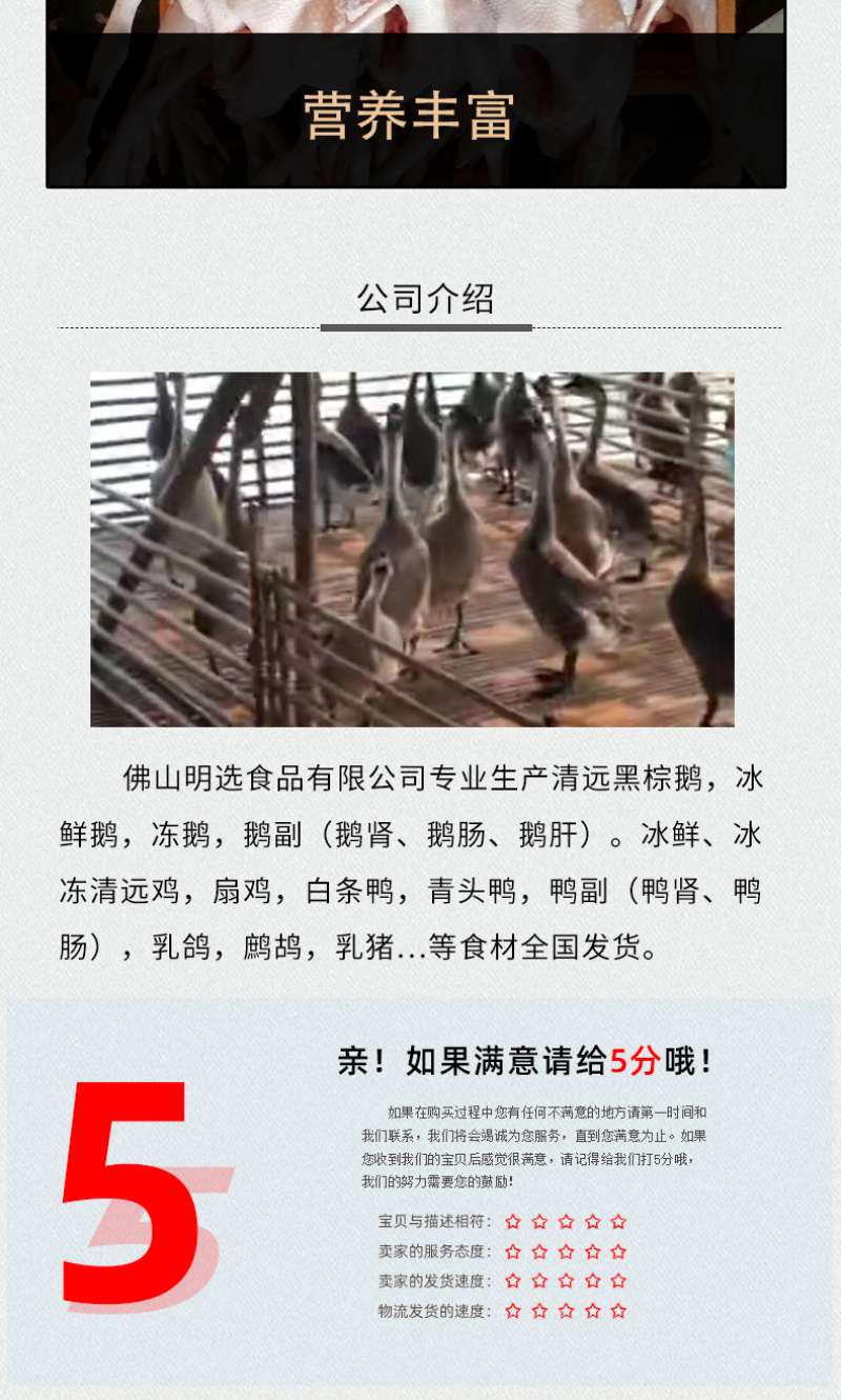 工厂直销黑棕鹅棚鹅烧鹅原材料冰鲜鹅冻鹅肉新鲜光鹅