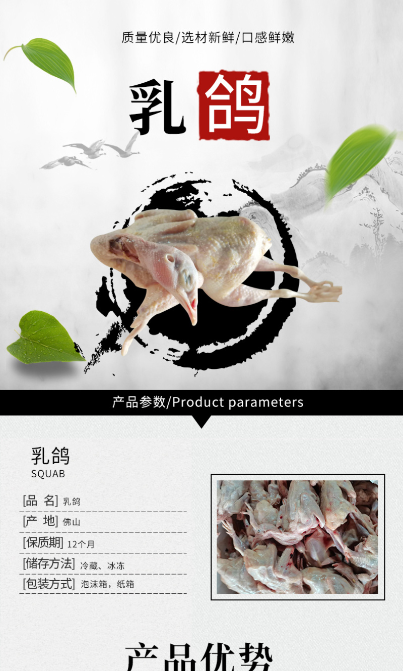 工厂直销老鸽红烧乳鸽煲汤乳鸽生鲜冰冻乳鸽食材
