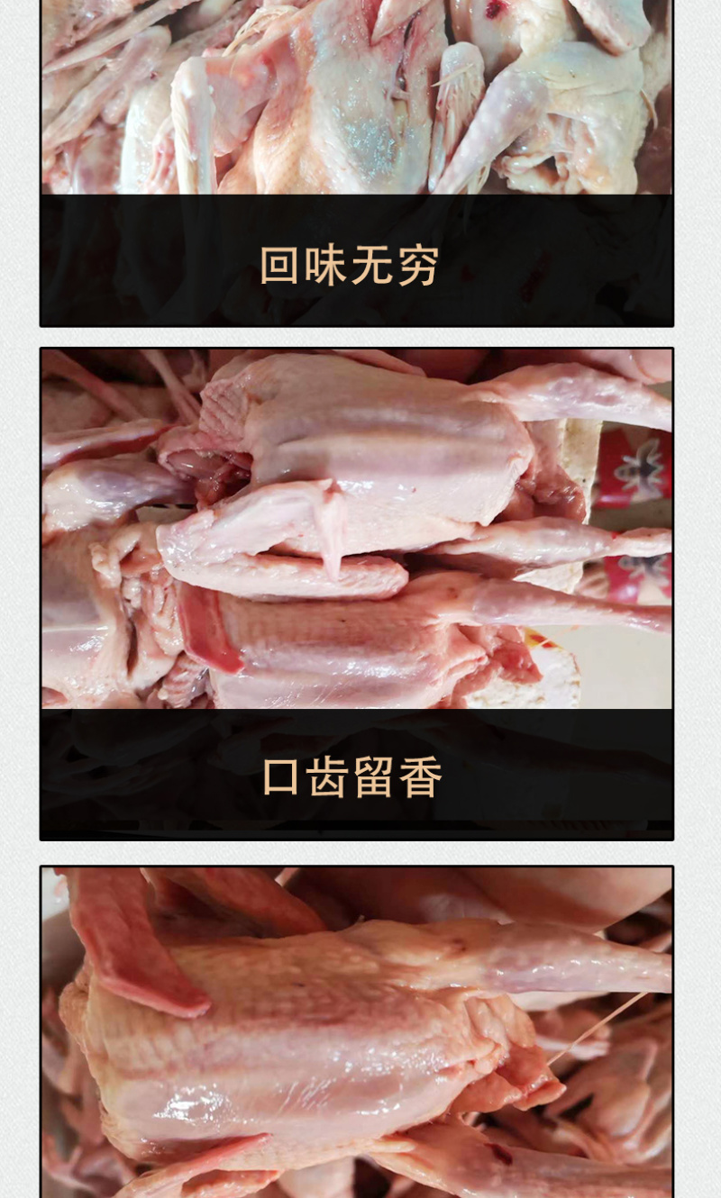 工厂直销老鸽红烧乳鸽煲汤乳鸽生鲜冰冻乳鸽食材