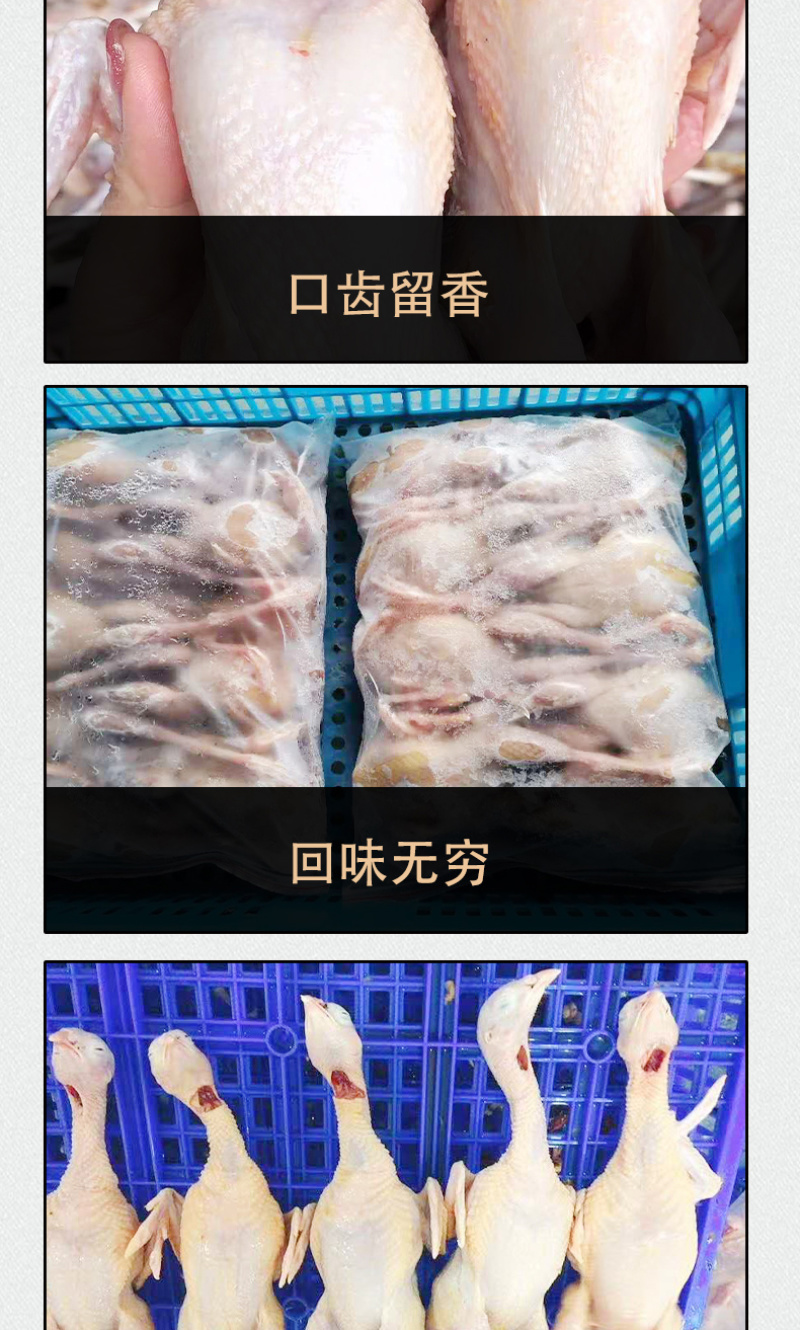 供应生鲜鹧鸪冷冻鹧鸪生鲜速冻鹧鸪冰鲜鹧鸪原材料现货