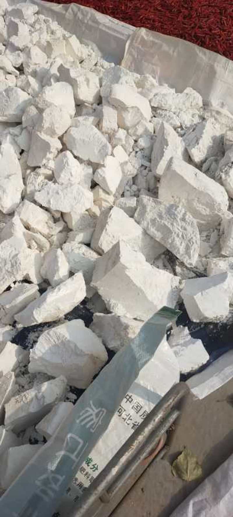 今年的纯红薯淀粉干了纯番薯淀粉谁要打电话吧