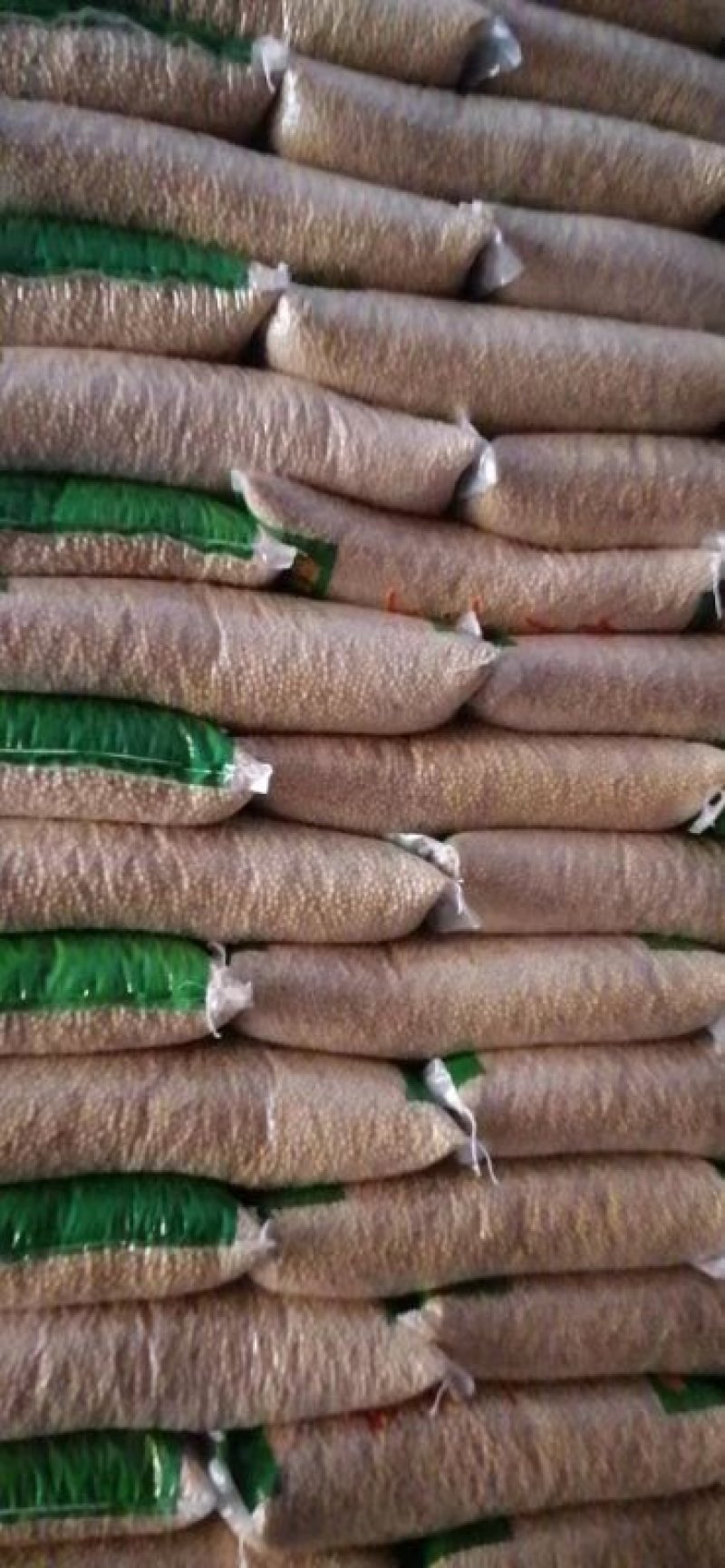 【菜豆】大黄豆可视频看货保质保量杂质少