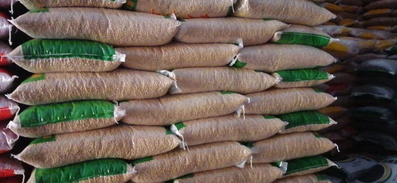 【菜豆】大黄豆可视频看货保质保量杂质少