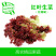 【高农果蔬】红叶生菜沙拉菜新鲜蔬菜红珊瑚罗莎红