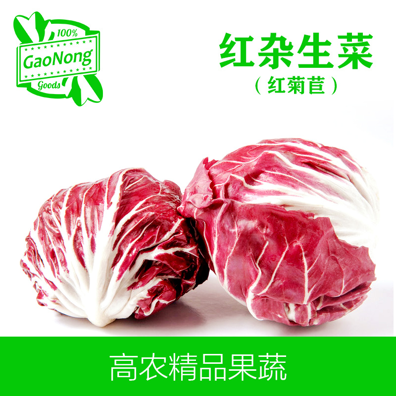 【高农果蔬】红杂生菜红菊苣新鲜蔬菜沙拉食材落地球