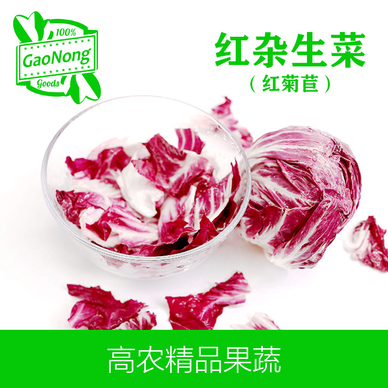 【高农果蔬】红杂生菜红菊苣新鲜蔬菜沙拉食材落地球