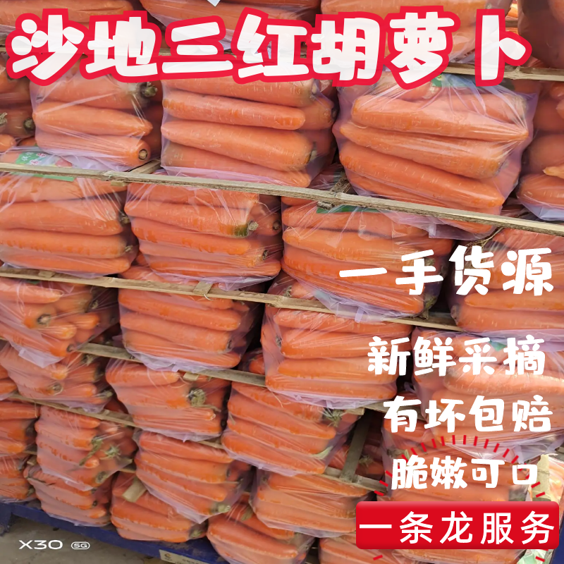电商市场超市精品红萝卜，土货，水洗中条，精品箱子，小条…