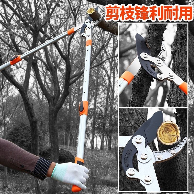 剪子多功能修枝剪剪刀树枝修剪果树修剪刀园艺剪刀粗枝果树修