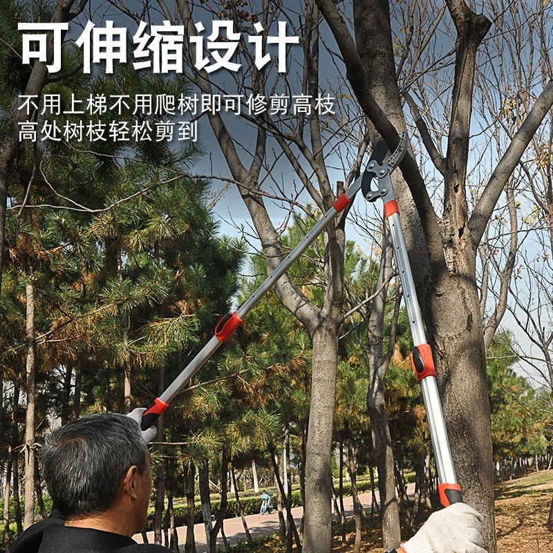 剪子多功能修枝剪剪刀树枝修剪果树修剪刀园艺剪刀粗枝果树修