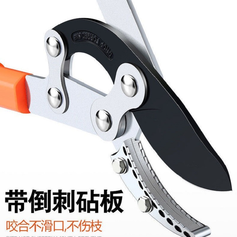 剪子多功能修枝剪剪刀树枝修剪果树修剪刀园艺剪刀粗枝果树修