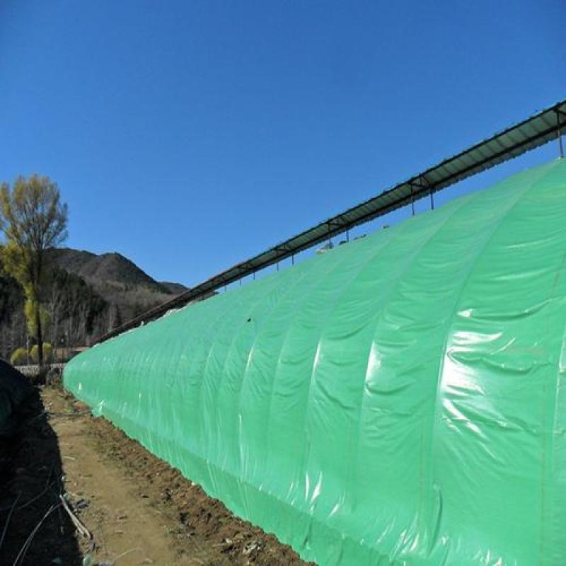 实力大棚膜养殖绿白膜种植菌棚隔热抗老化3-5年