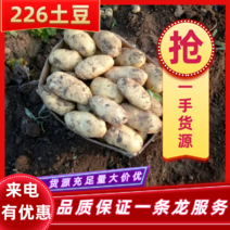 【精选】226土豆，ev，v7货源充足品质保证一条龙服务