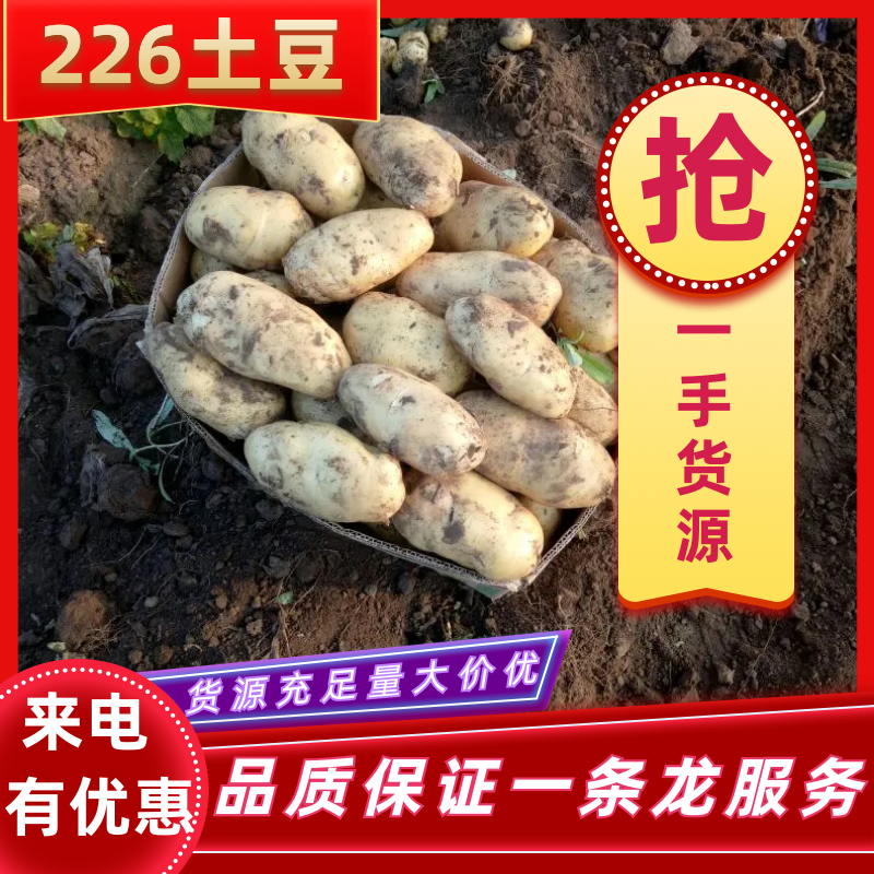 【精选】226土豆，ev，v7货源充足品质保证一条龙服务