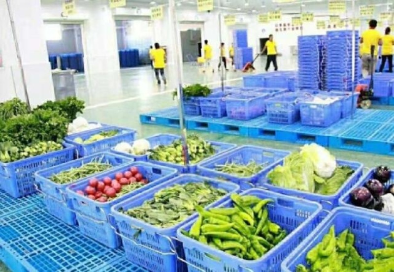 塑料周转筐网眼蔬菜筐-塑料框