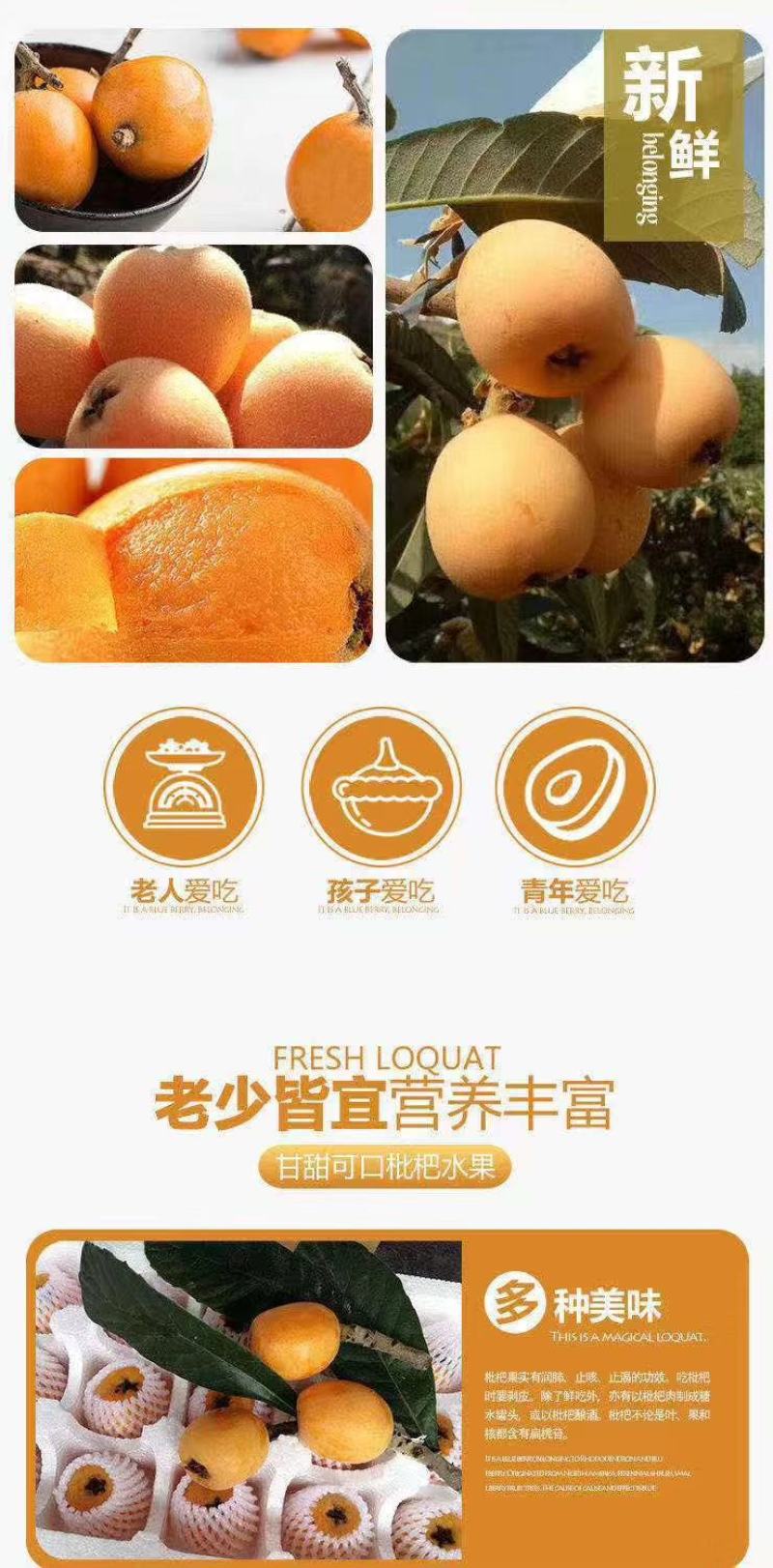 【量大价优】四川大凉山阳光枇杷，品质好，规格全，欢迎批发