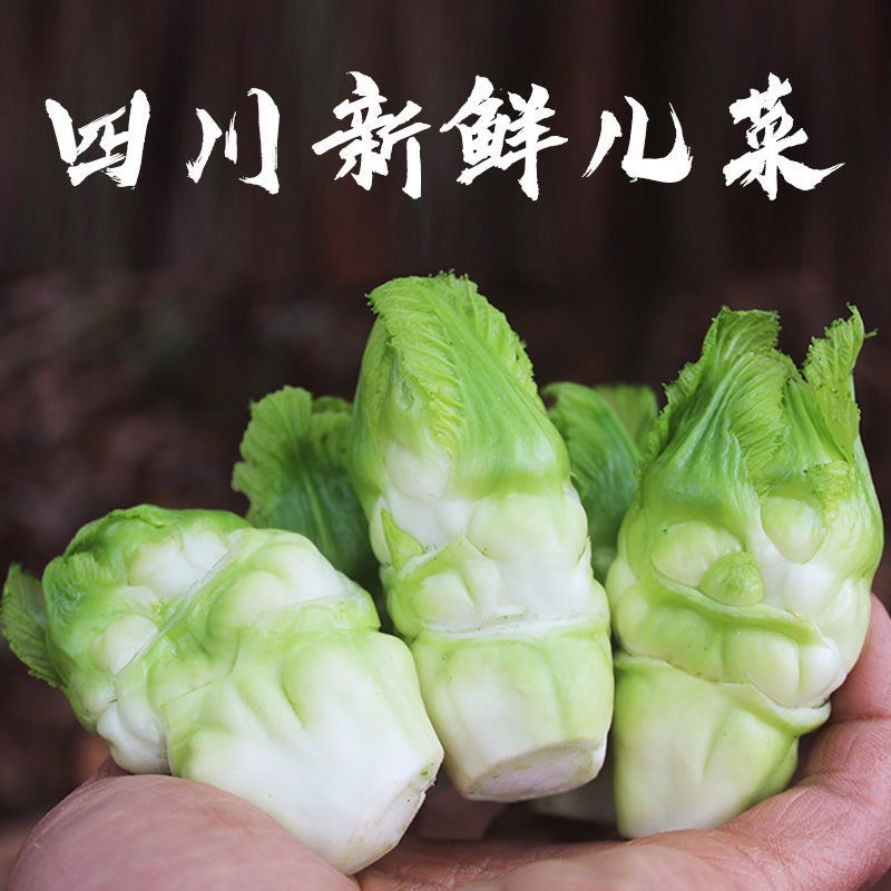 四川精品新鲜儿菜现摘现发时令蔬菜当季母子菜基地直发