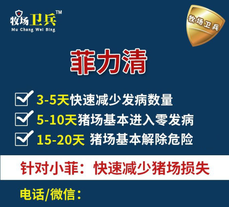 菲力清：怎么预防小飞？得了非瘟怎么办？预防非瘟，非瘟猪瘟