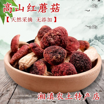 红菇干货未开伞天然红椎菇农家自晒红蘑菇佐餐食用菌包邮