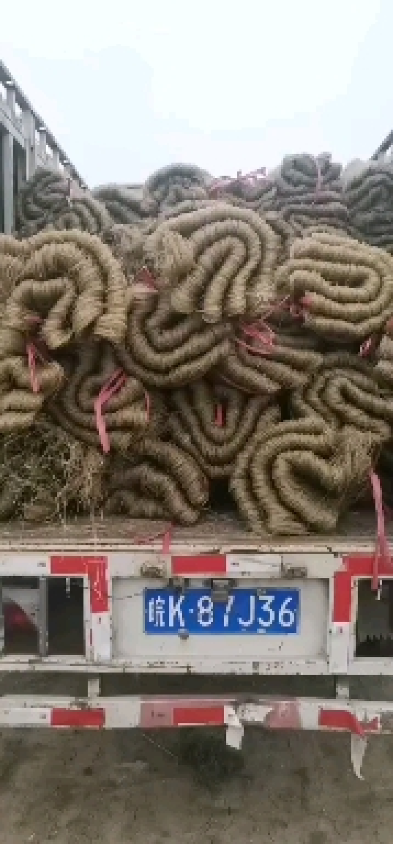 红薯粉丝纯地瓜粉丝***农户自销常年供