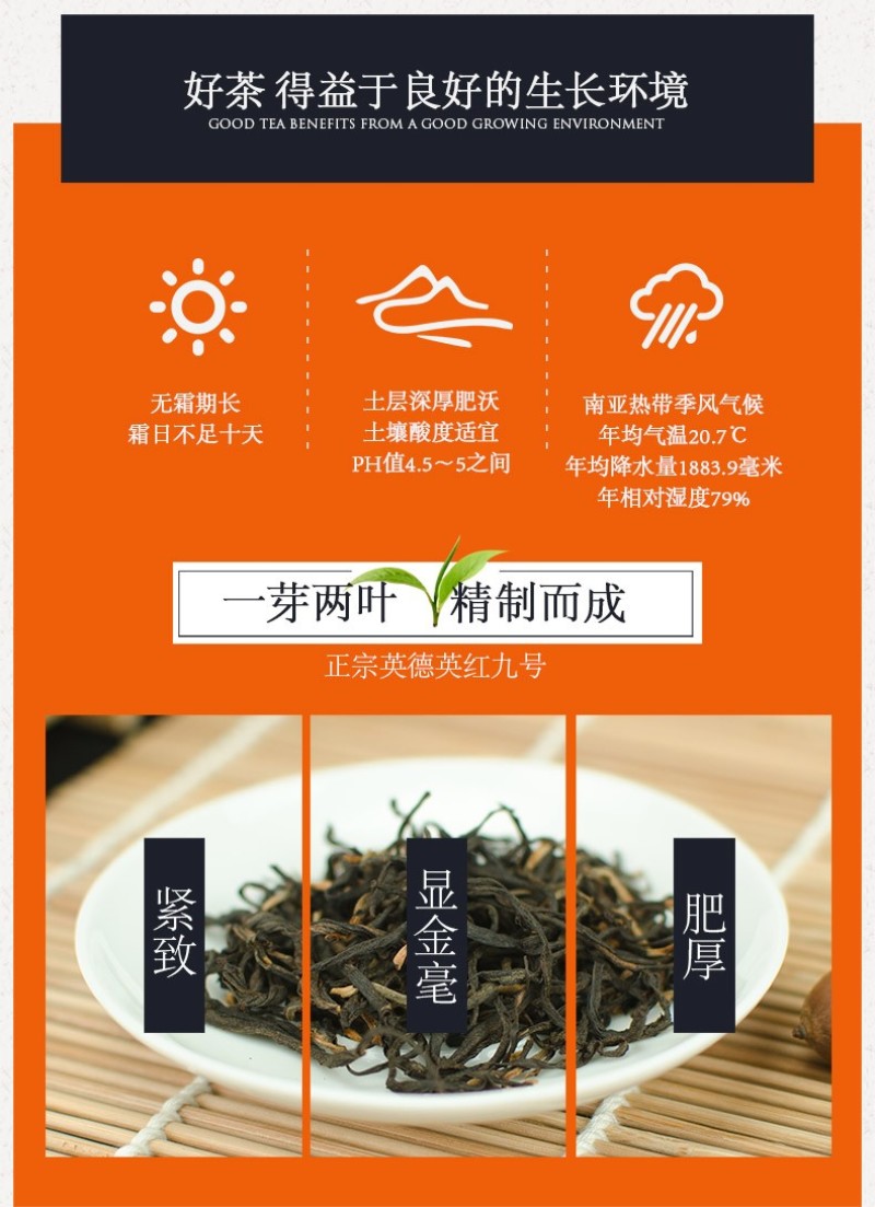 买一送一英红九号英德红茶300克礼盒精装