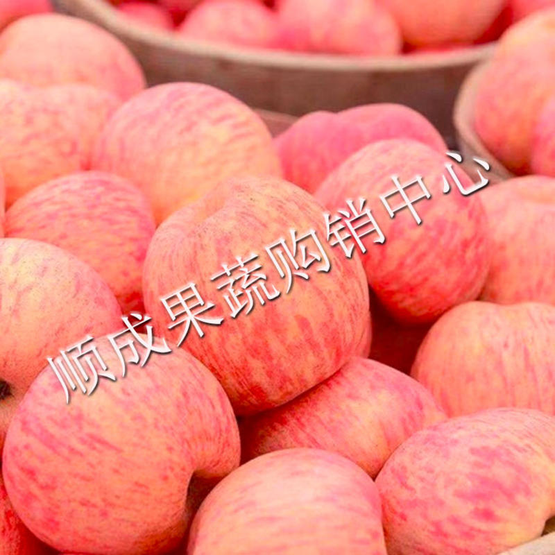【荐】精品红富士苹果80起步冰糖心脆甜可口产地直发