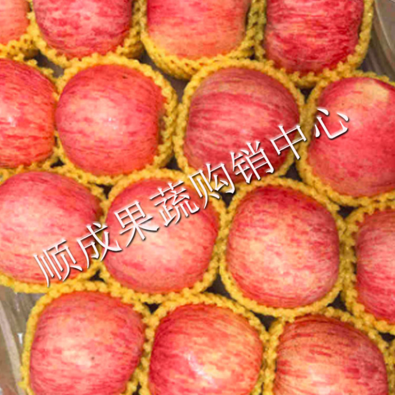 【荐】精品红富士苹果80起步冰糖心脆甜可口产地直发