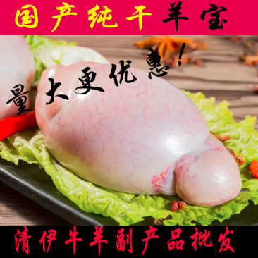 国产鲜冻纯干羊宝，羊外腰，羊蛋，30斤一件，各种型号都有