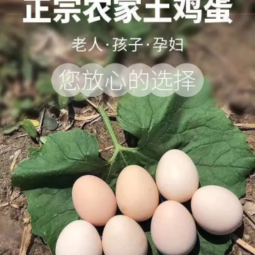 自家农养散养土鸡蛋质量保证！
