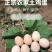 自家农养散养土鸡蛋质量保证！